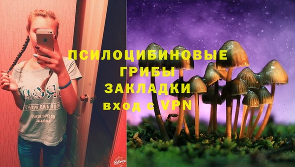 2c-b Кодинск
