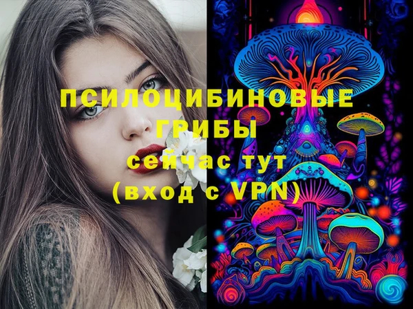2c-b Кодинск