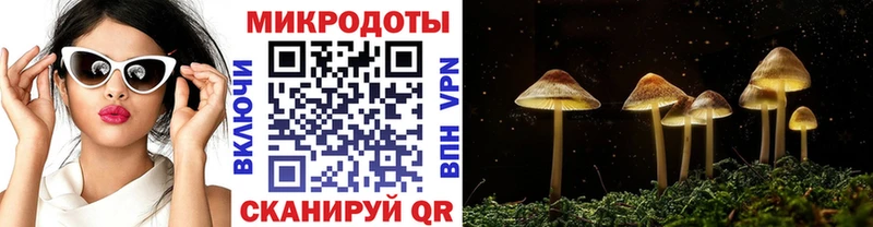 Псилоцибиновые грибы мицелий  Мещовск 